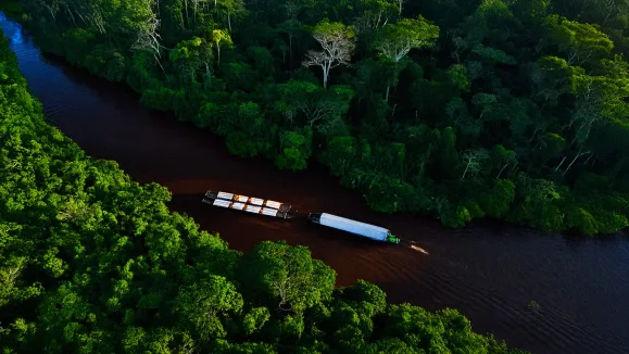 O Brasil poderia gerar até US$ 20 bilhões ao ano com créditos de carbono